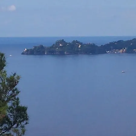 Guardando Portofino - Looking Portofino