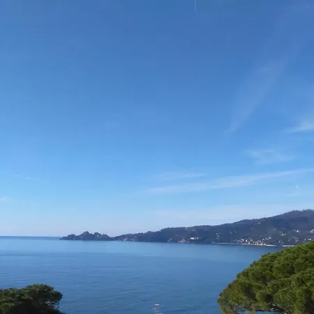Guardando Portofino - Looking Portofino Apartment