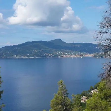 Guardando Portofino - Looking Portofino * Zoagli